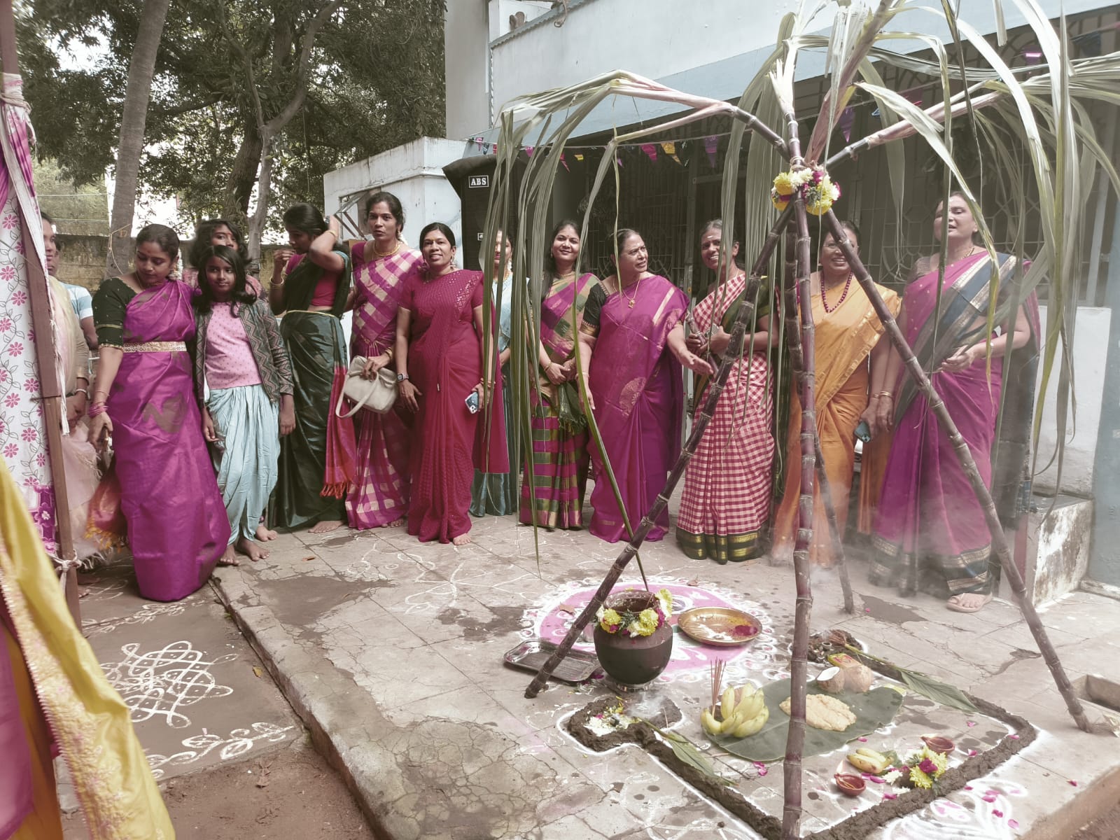 Pongal Celebration, Trichy - Jan 2025 — photograph 5