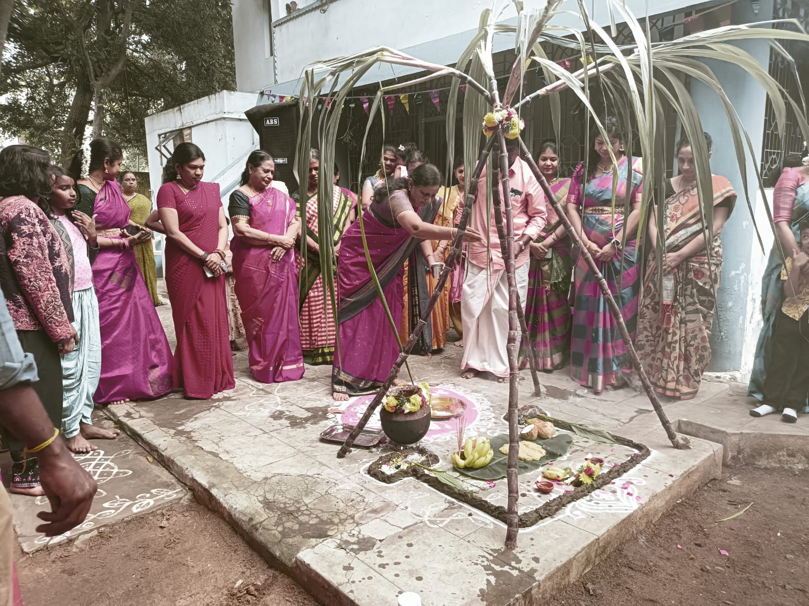 Pongal Celebration, Trichy - Jan 2025 — photograph 6